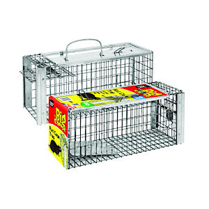 Big Cheese Rat Cage