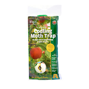 Codling Moth Trap