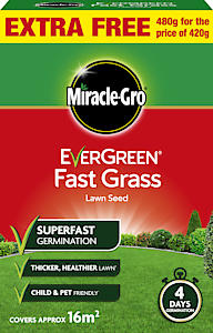 Evergreen Fast Grass 16m2