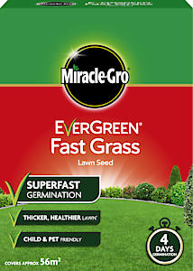 Evergreen Fast Grass 56m2