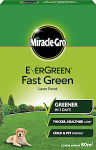 MGro Fast Green 80m2